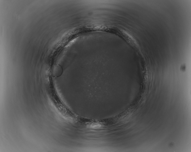 X0000116480643200912231131