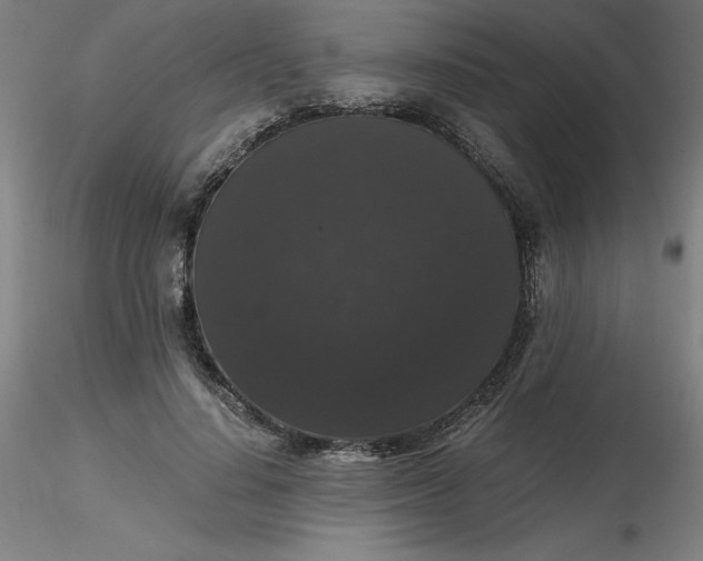 X0000116480644200912231131