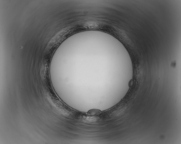 X0000116480645200912231131