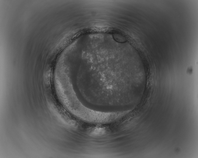 X0000116480647200912231131