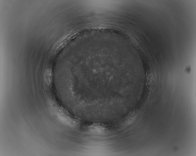 X0000116480648200912231131