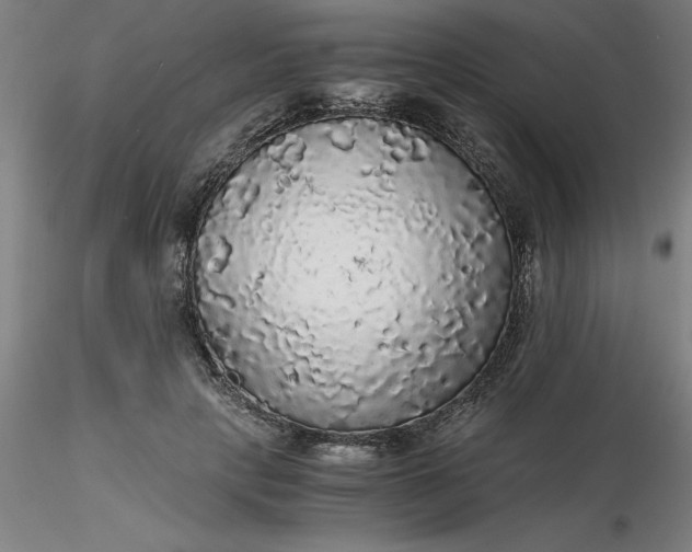 X0000116480649200912231131