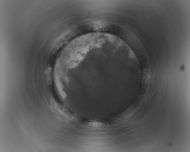 X0000116480650200912231131