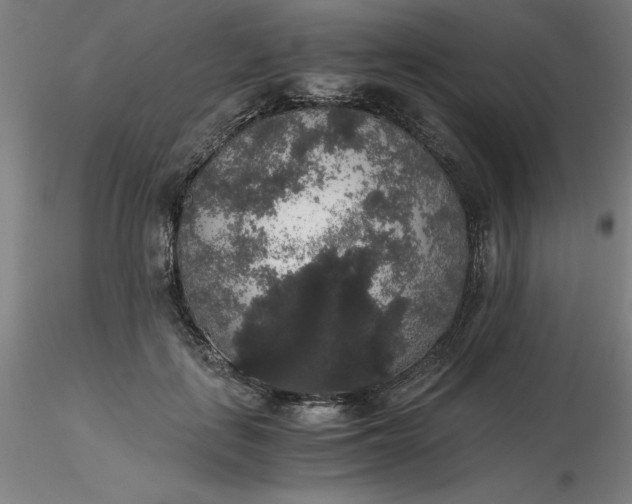 X0000116480651200912231131