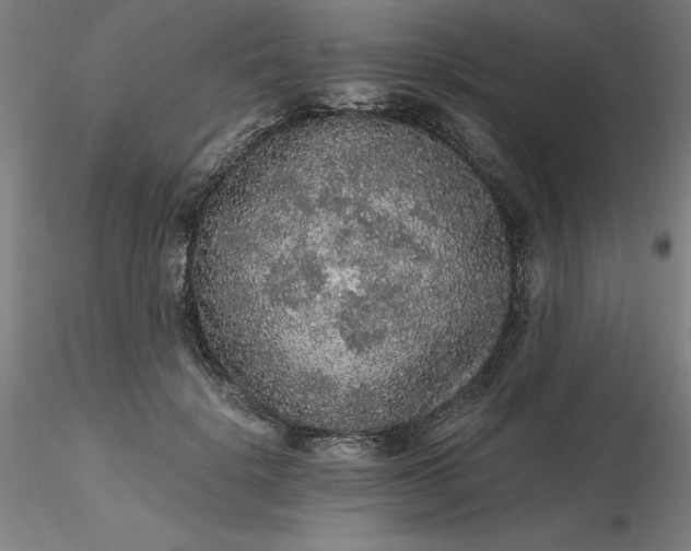 X0000116480652200912231131