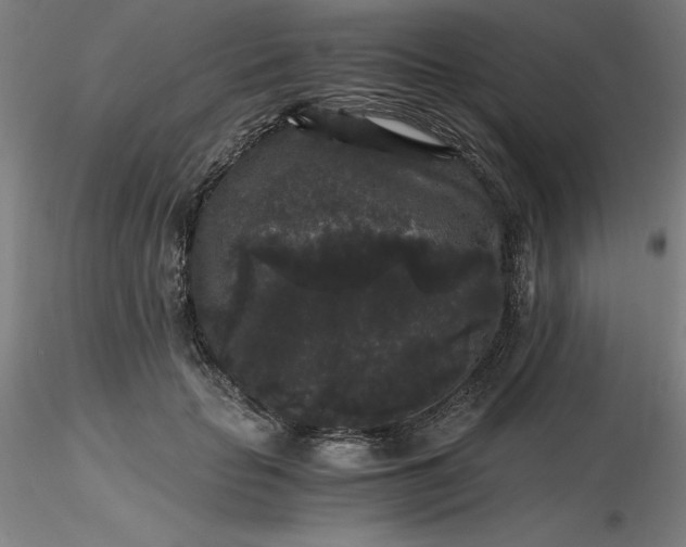 X0000116480653200912231131