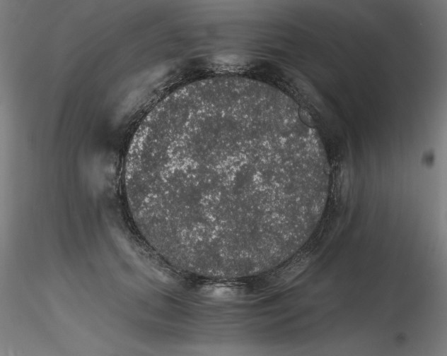 X0000116480655200912231131