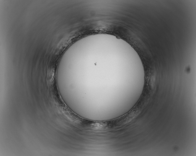 X0000116480660200912231131