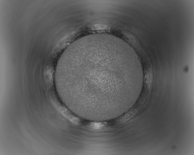 X0000116480662200912231131