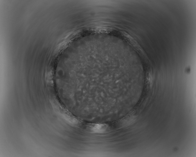 X0000116480663200912231131