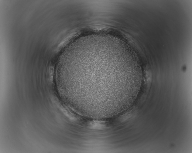 X0000116480664200912231132