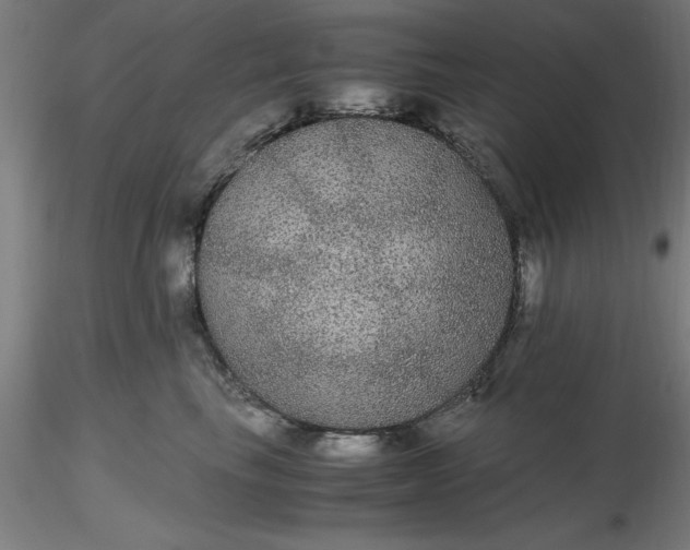 X0000116480665200912231132