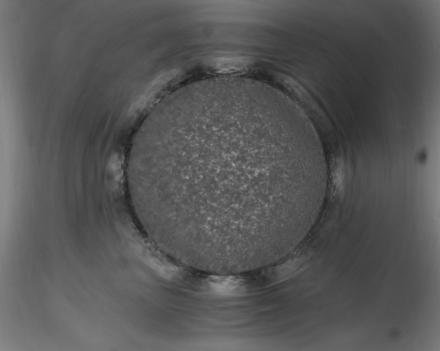 X0000116480667200912231132