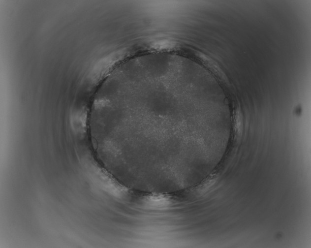 X0000116480668200912231132