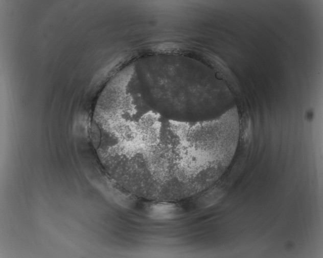 X0000116480669200912231132