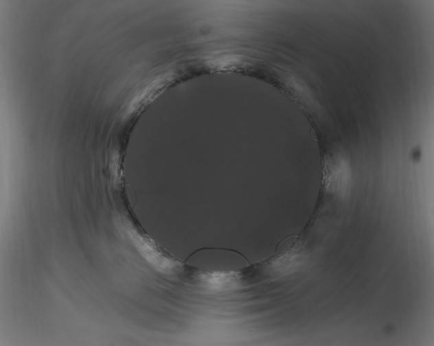 X0000116480670200912231132