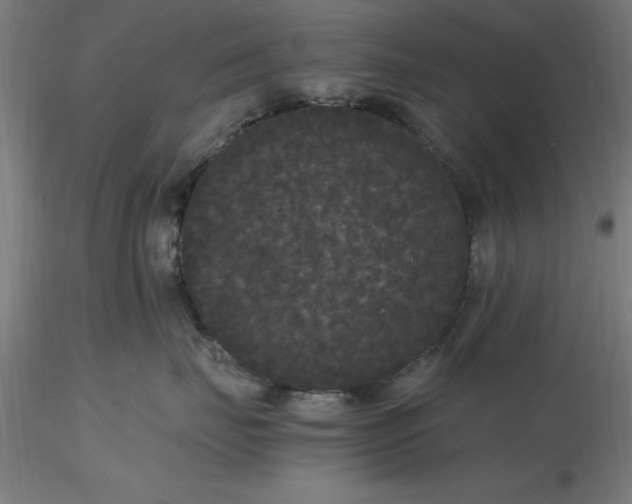 X0000116480671200912231132