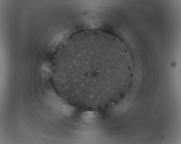 X0000116480672200912231132