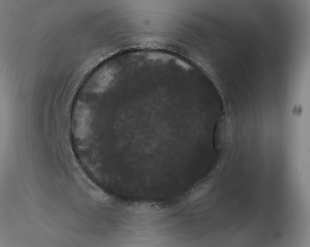 X0000116480673200912231131