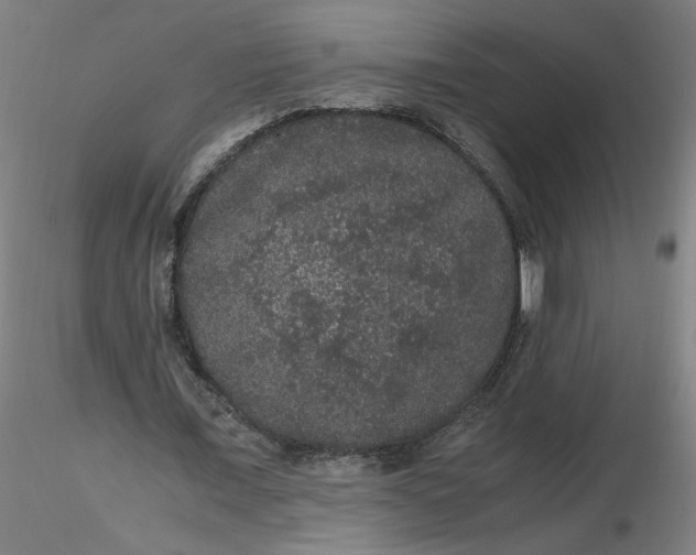 X0000116480675200912231131