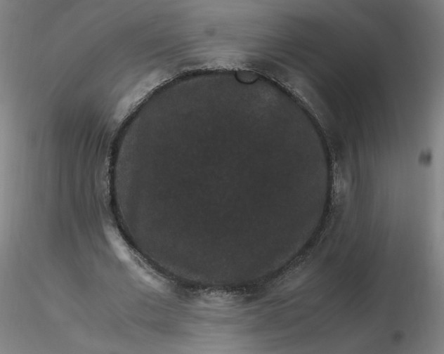 X0000116480677200912231131