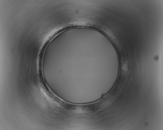 X0000116480678200912231131