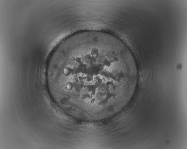 X0000116480679200912231131