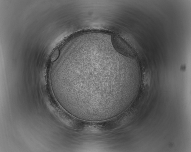 X0000116480680200912231131