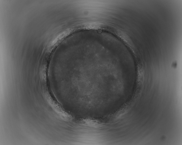 X0000116480681200912231131