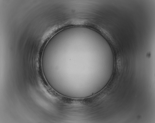 X0000116480682200912231131