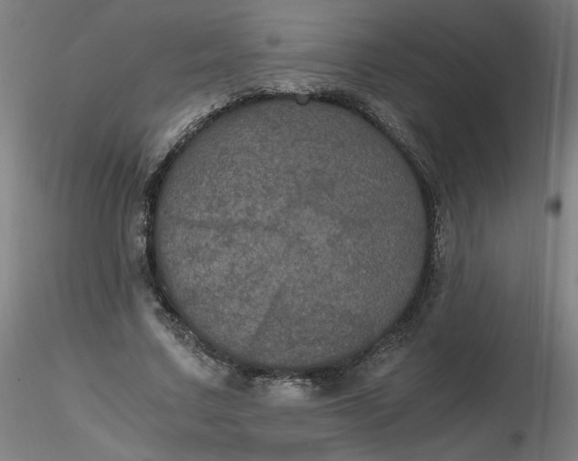 X0000116480683200912231131