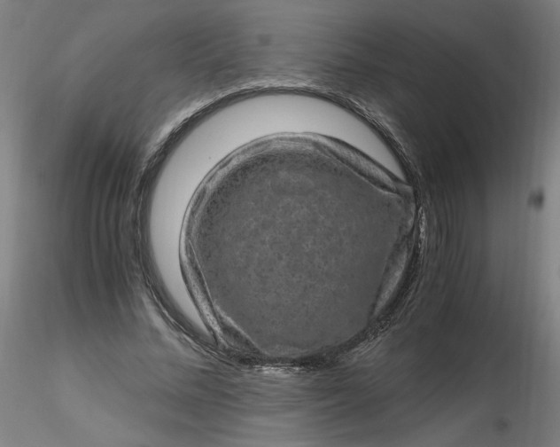 X0000116480684200912231131