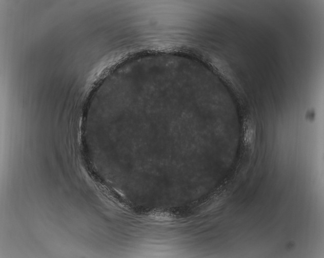 X0000116480685200912231131