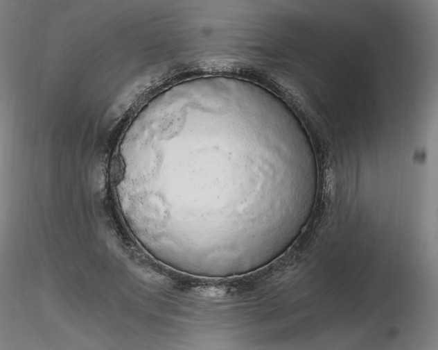 X0000116480687200912231131