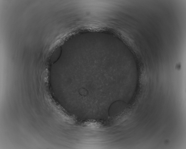 X0000116480689200912231131