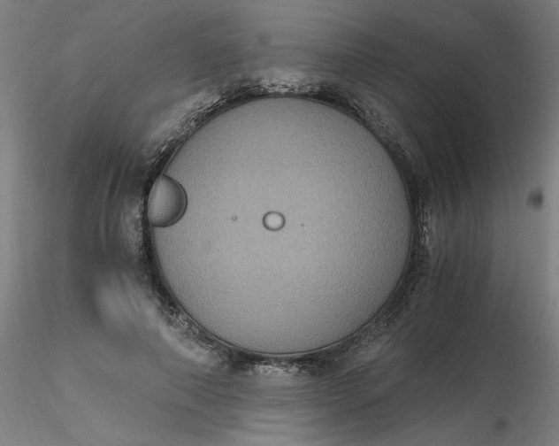 X0000116480690200912231131