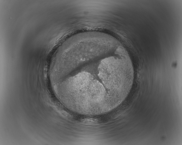 X0000116480691200912231131