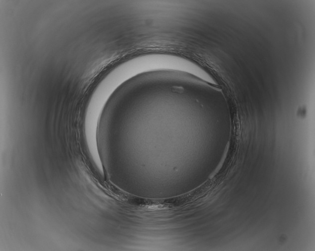 X0000116480692200912231131