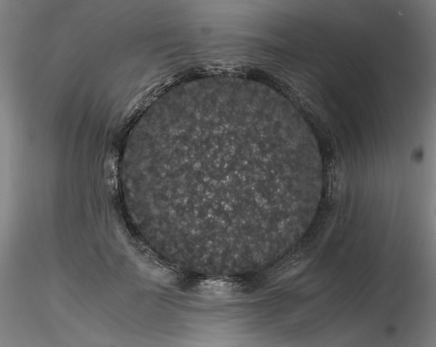 X0000116480699200912231131