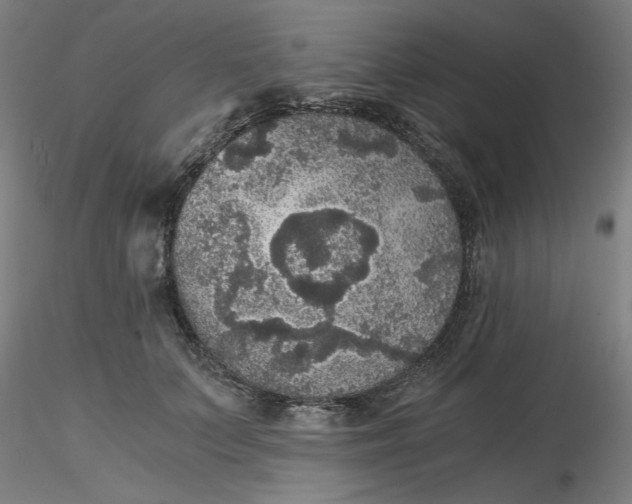 X0000116480703200912231131