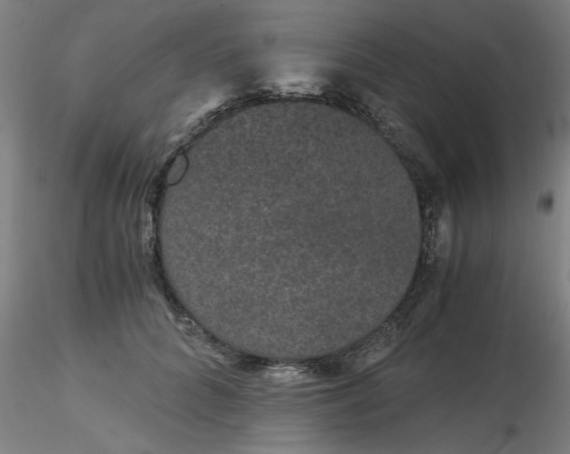 X0000116480704200912231131