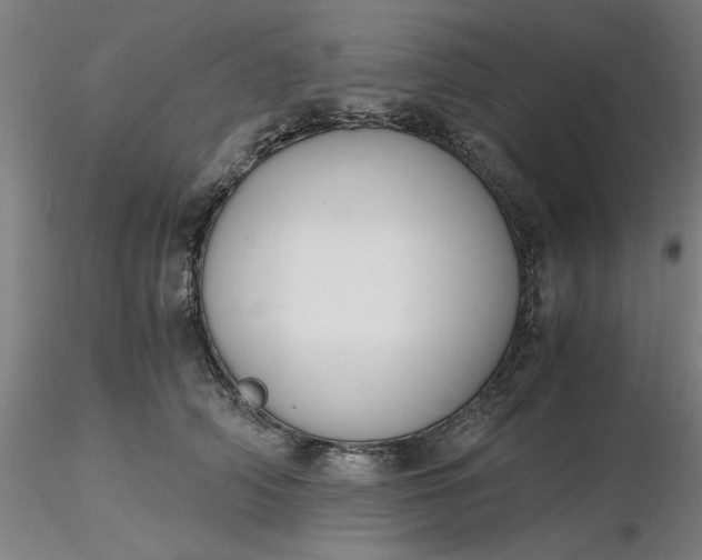 X0000116480706200912231131