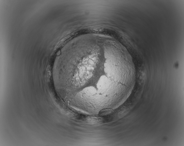 X0000116480707200912231130