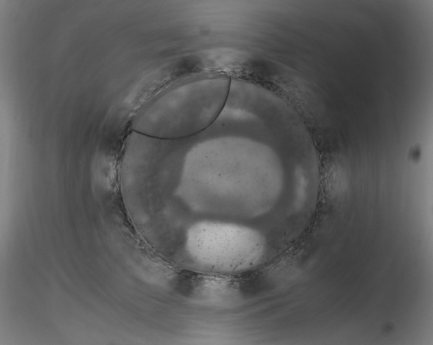 X0000116480709200912231130