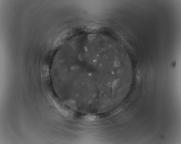 X0000116480711200912231130