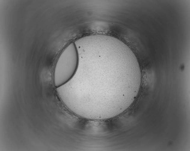 X0000116480713200912231130