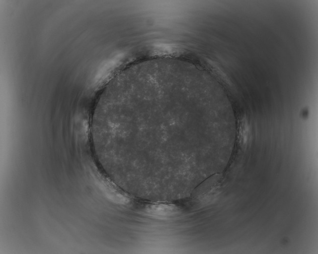 X0000116480716200912231130