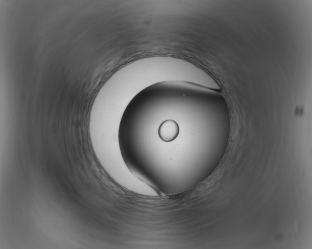 X0000116480720200912231130