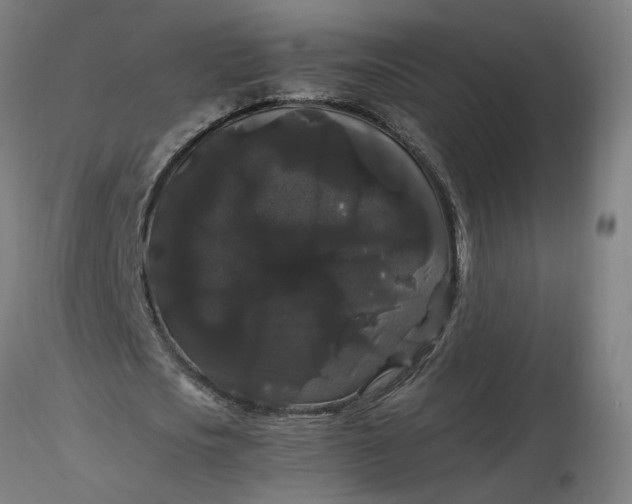 X0000116480721200912231130