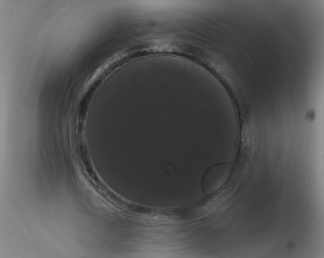 X0000116480722200912231130